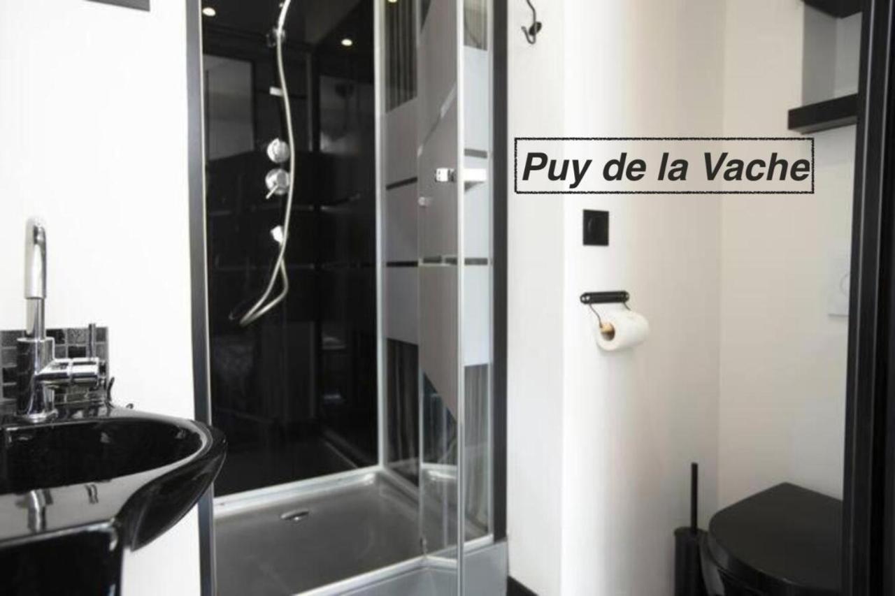 Logements Chaine Des Puys Avec Garages Attenants Clermont-Ferrand Eksteriør billede